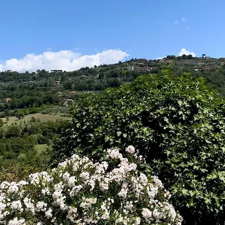 Casa Di Minghetta *