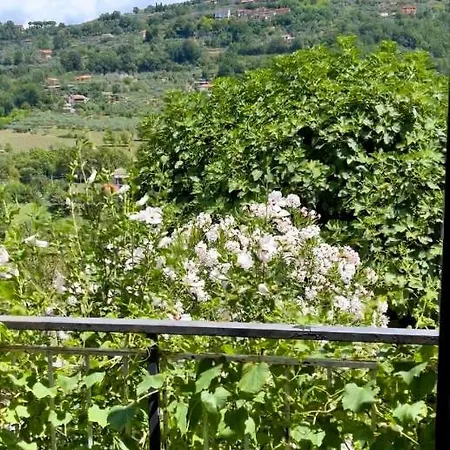 Apartment Casa Di Minghetta Arpino